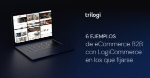 Ejemplos eCommerce B2B LogiCommerce