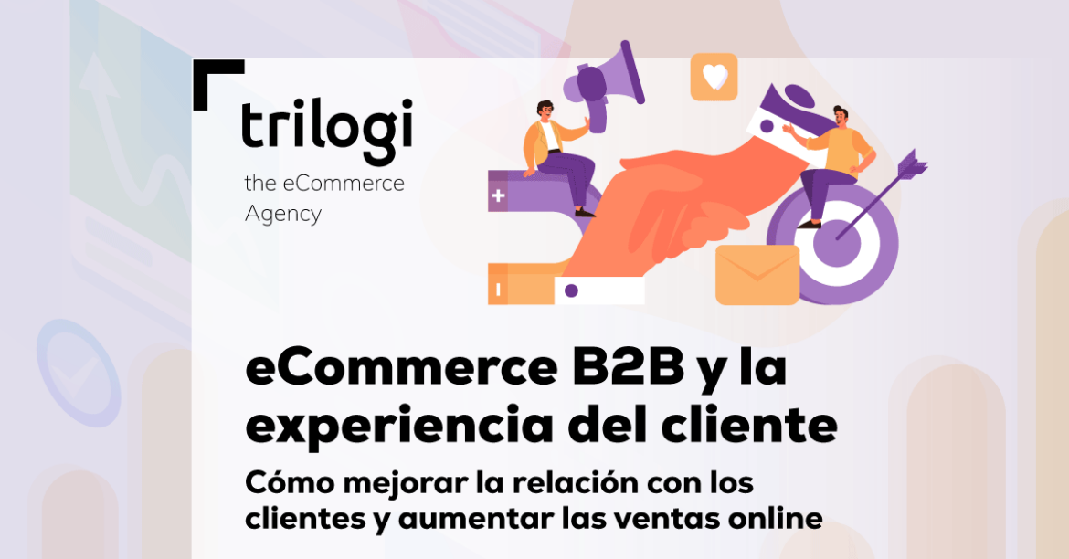 eCommerce B2B experiencia cliente