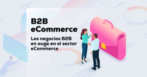ecommerce b2b