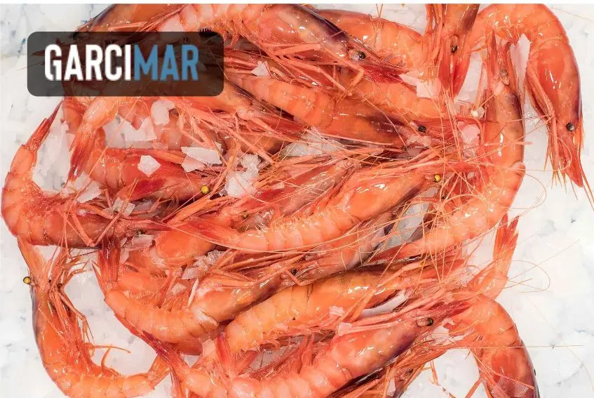Garcimar, cliente de TRILOGI en marisco